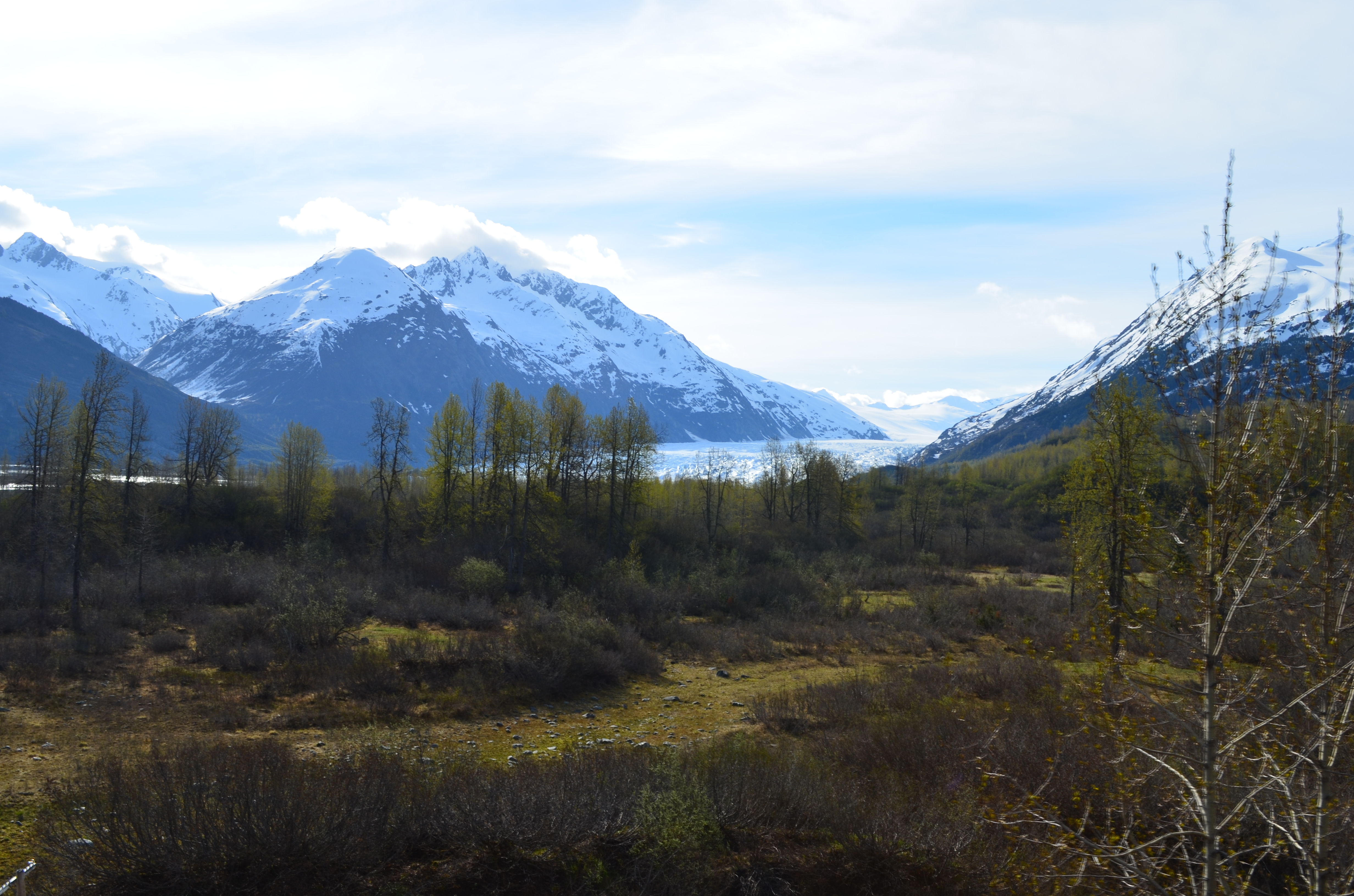 ./2017/08 - Alaska Cruise/05 - Train to Seward/DSC_0529.JPG